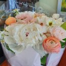 원일로73번길 이미지