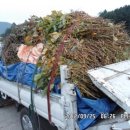 인제농장 이미지