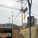 양지천1 이미지