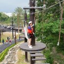 불암산더불어숲 이미지