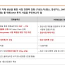 디앤티솔루션