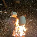 청계산 골든 밸리 가족 캠핑장 후기: 글램핑과 바베큐의 완벽 조화!! 🏕️