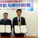 위노
