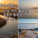순흥통로 단풍나무 가로수길 | 11월 사진작가들이 사랑하는 계절! 최고의 출사 명소 7곳 (촬영 팁 대방출)