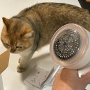 6132 | 보만 무선 보풀제거기 LR6132I 내돈내산 솔직후기