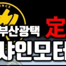 명품카모터스 이미지