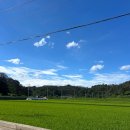 대탄리 파라다이스 모텔 옆 | 영덕 대탄항 스노클링 주차 파라다이스 모텔 바비큐