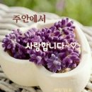 꼬망쎄 - 구리시 | 꼬망쎄