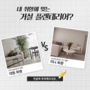 거실 플랜테리어 추천! 대형 화분 vs 미니 화분