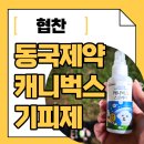 여름 산책 필수템, 동국제약 캐니벅스 강아지 진드기 기피제 후기