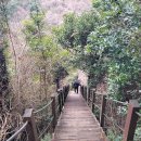 저지오름 이미지