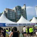 2025 댕댕나이트런 | 2025 나이트레이스 인 부산 - 광안리 나이트런 참가후기
