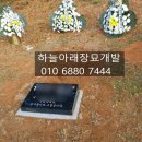 하나장묘개발