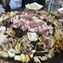 정준오리 이미지