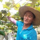 성복농장 이미지