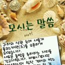 주식회사 카맨 네이버블로그