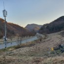 백아면사무소 이미지