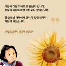 빙그레 선생님 수요강의(23.5.31) 이미지