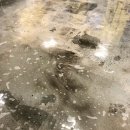 일등광택 이미지