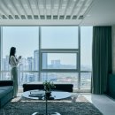 소노캄 고양 이미지