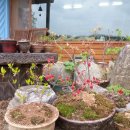 다리골가든 이미지