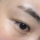 뷰티펠리스 | [범계속눈썹] / 안양속눈썹 평촌속눈썹 뷰티팰리스 속눈썹펌 후기