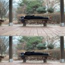 김밥천국(행운점) | [대전] 1박2일 여행 후기