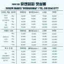 유앤퍼피 이미지