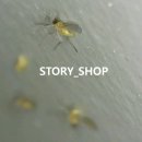 스토리샵 이미지