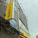 수원 하얀풍차제과점 후기｜화이트롤과 황치즈바게트 내돈내산