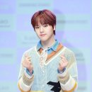도현