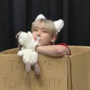 “Don't abandon him, he would never do that 😸” 이미지