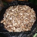 마륜 농장 이미지