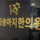 금송아지한의원 네이버블로그