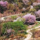 산골물소리 이미지