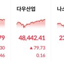 우림그래피