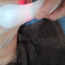 샬롱꽃