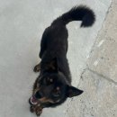 네버랜드테마펜션 | 포항 숙소 추천