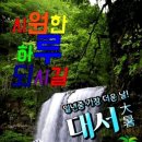 행복한개 이미지