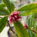 천리향한의원 이미지