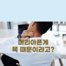 내추럴바디짐 티스토리