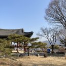 두꺼비 분식 이미지