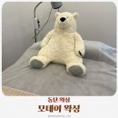 동탄역 왁싱은 모데이왁싱 다리하프왁싱 저자극 후기