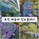 부산 해운대 놀거리, 해운대 인형뽑기&lt;민트플레이&gt;해운대 오락실