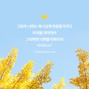 인스타PC 이미지