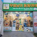 진영냥이 이미지