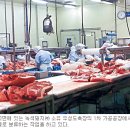 보성축산 주식회사