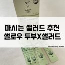 강건클린 | 혈당스파이크 방지 홀푸드 추천 샐로우 마시는 두부 샐러드 먹어 본 후기