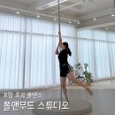 포항 초곡 폴댄스 학원 폴앤무드스튜디오 베이직 초보 체험 후기