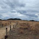 사구해수욕장1 이미지